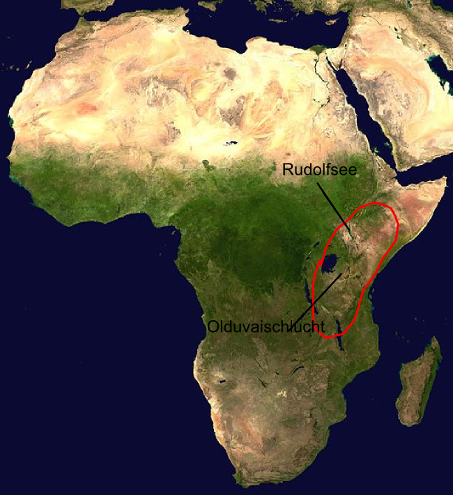 Verbreitungsgebiet Homo habilis in Afrika